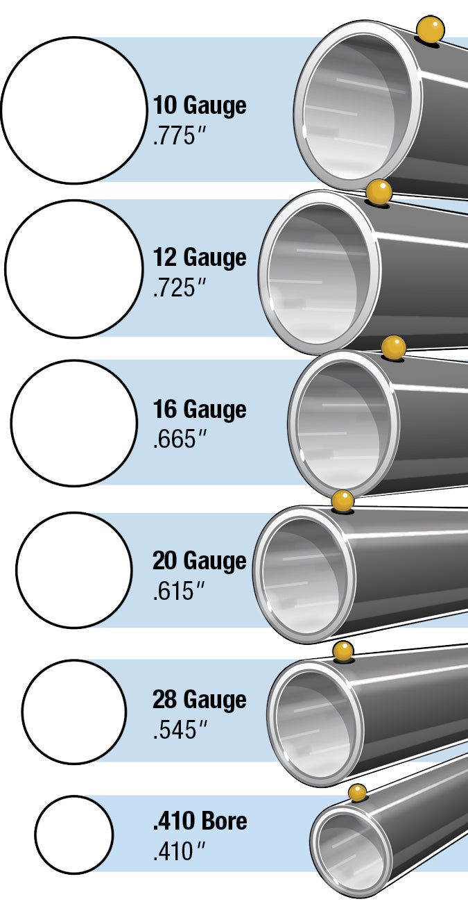 Understanding Shotgun Gauges: What You Need to Know Before Purchase