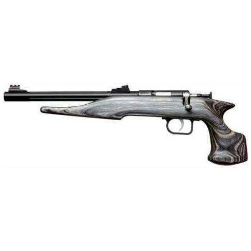 Chipmunk Pistol Hunter 22LR Stainless Finish Blued Fluted 10.5