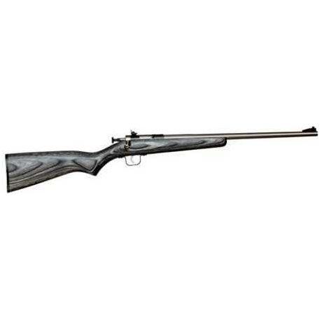 Crickett Rifle G2 22 Long Stainless Steel Black Laminate Bolt Action KSA2270