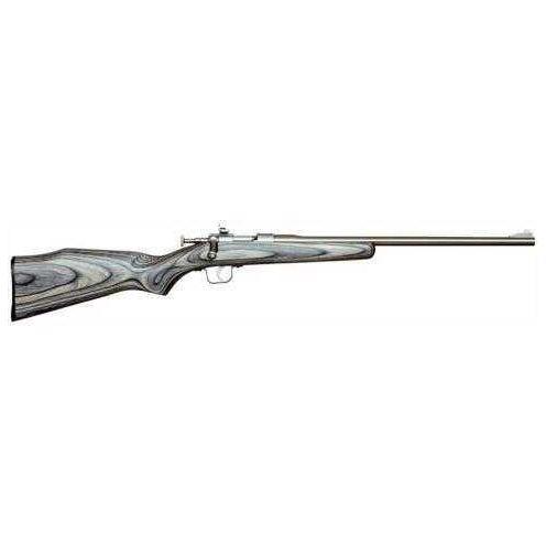 Chipmunk Rifle 22LR Stainless Steel Black Laminated Stock 16.3