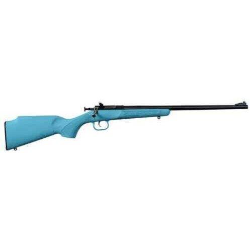 Keystone Sporting Arms Rifle Crickett 22 Long Blue Synthetic Stock 16.125