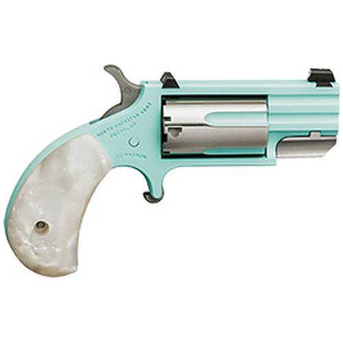 North American Arms PUG .22WMR 1" Heavy Barrel Stainless/Turquois/Simulated Pearl Grips 5-Shot Capacity - Buy A Gun