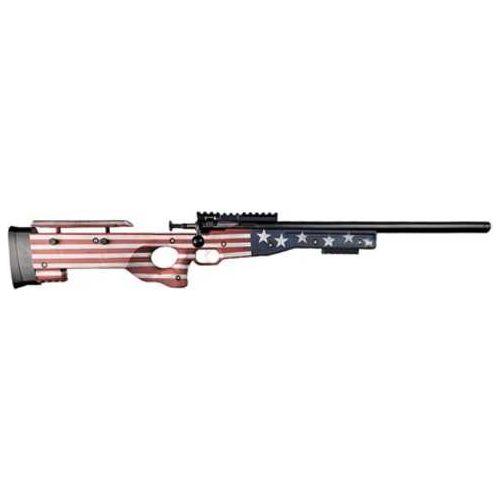 Keystone Sporting Arms Youth Model Crickett Precision Single Shot Rifle .22 Long 16.125