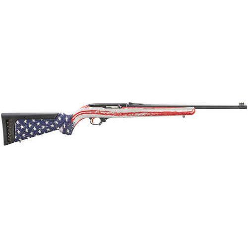 Ruger 10/22 Rifle 22 LR 10 Round 18.50