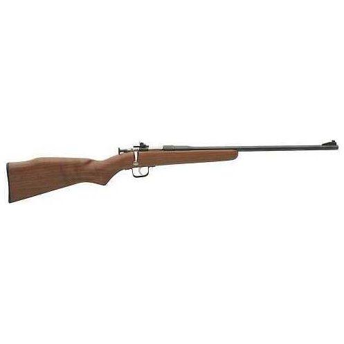 Chipmunk Youth Rifle 22 LR with 1 Round Capacity 16.12