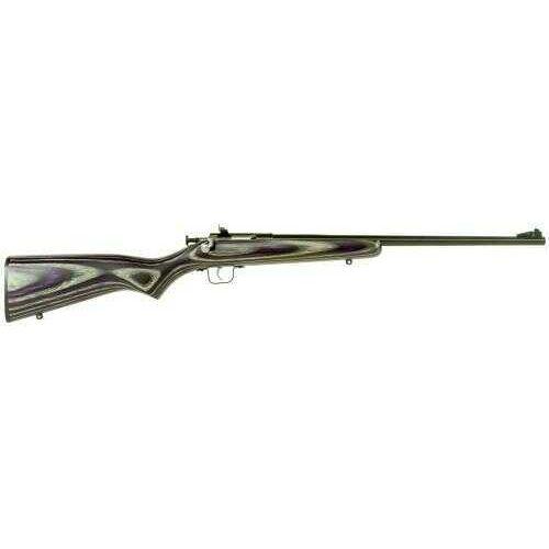 Crickett KSA2227 Single Shot Bolt 22 Long Rifle 16.12" Barrel 1 Laminated Purple Stock Blued