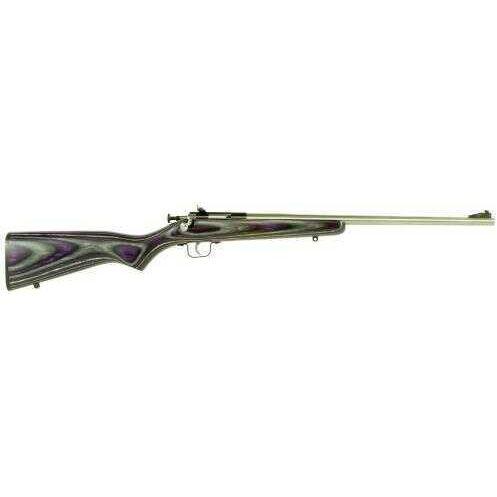 Crickett KSA2228 Single Shot Bolt 22 Long Rifle 16.12" Barrel 1 Laminated Purple Stock Stainless